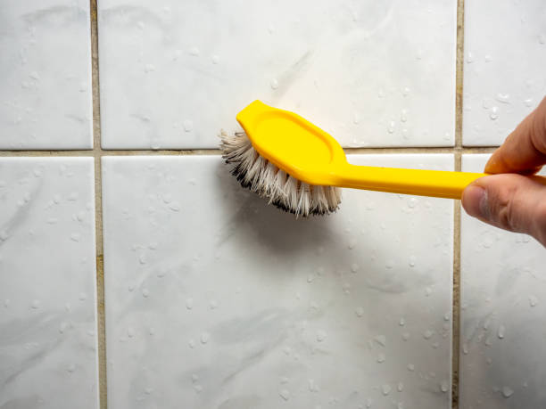 Best Local Mold Removal Service  in Chester, CA