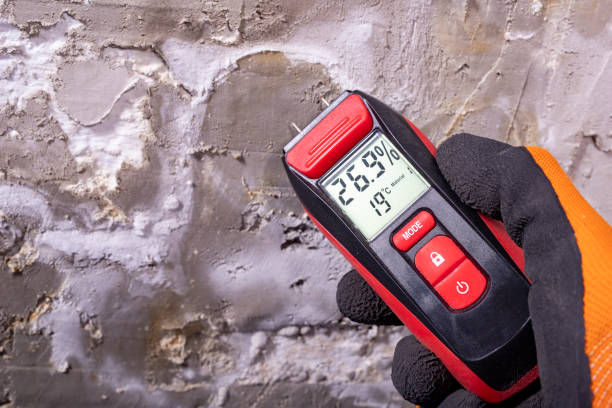 Best Black Mold Removal  in Chester, CA