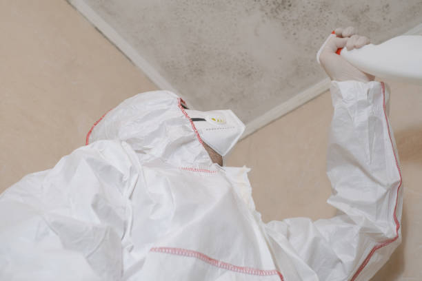 Best Certified Mold Removal  in Chester, CA