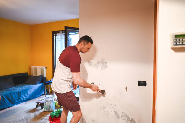 Best Emergency Mold Removal  in Chester, CA